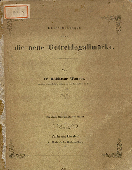 Untersuchungen über die neue Getreidegallmücke.1861