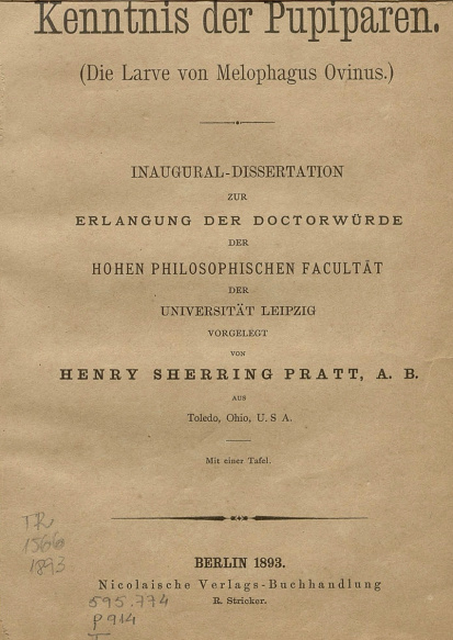 Beiträge zur kenntnis der pupiparen.1893