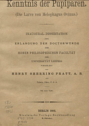 Beiträge zur kenntnis der pupiparen.1893