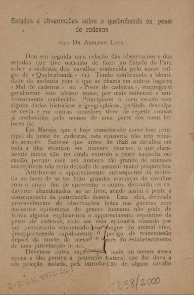 Estudos e observações sobre o quebrabunda ou peste de cadeiras. 19--