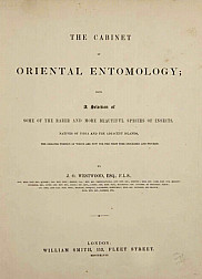 The Cabinet of oriental entomology.1848