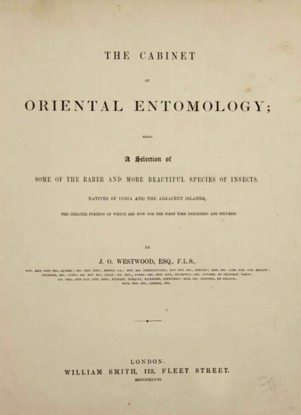 The Cabinet of oriental entomology.1848