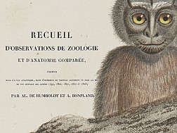 Recueil d'observations de Zoologie et d'Anatomie Comparée; faites dans l'Océan Atlantique. v. 1, 1811