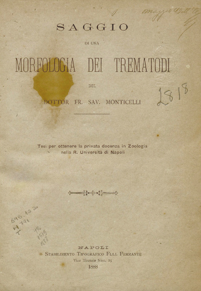 Saggio di una morfologia dei trematodi.1888
